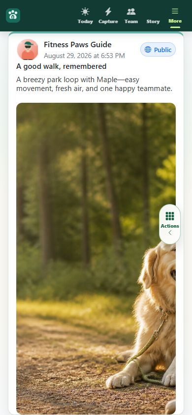 Privacy-safe Fitness Paws tutorial post shown as one Feed story